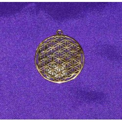 Bronze pendant from India .