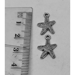 Findings Starfish 2
