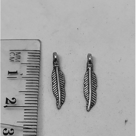 Findings Feather1