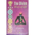 Divine Way Of Life Bijoy Kumar Giri Sri Nigamananda,