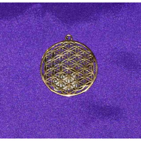 Bronze pendant from India .