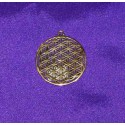 Bronze pendant from India .