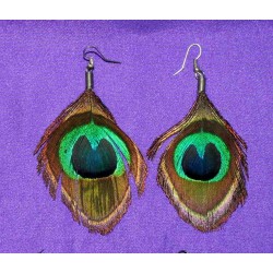 Earrings from India