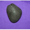 Fossil Shaligram