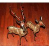 Bronze Set of Deers