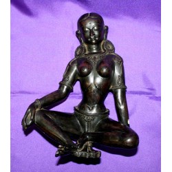 Resin Parvati Statue From Nepal