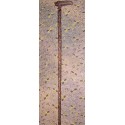 Walking stick Carved from India