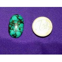Turquoise Cabochons