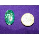 Turquoise Cabochons