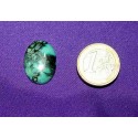 Turquoise Cabochons