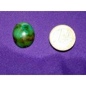 Turquoise Cabochons