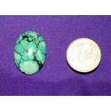 Turquoise Cabochons