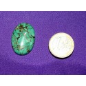 Turquoise Cabochons