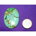 Turquoise Cabochons