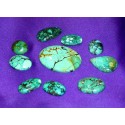 Turquoise Cabochons