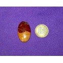 Picture Jasper Cabochons