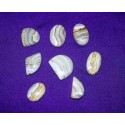 Blue Lace Agate Cabochons