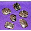 Fossil Jasper Cabochons