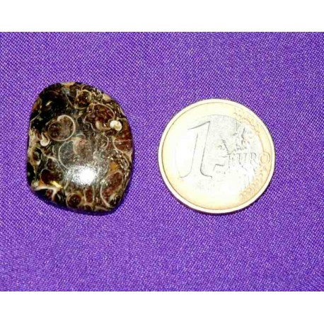 Fossil Jasper Cabochons