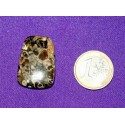 Fossil Jasper Cabochons