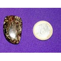 Fossil Jasper Cabochons