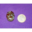 Ocean Jasper Cabochons