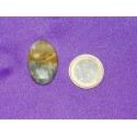Ocean Jasper Cabochons