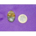 Ocean Jasper Cabochons