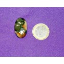 Ocean Jasper Cabochons