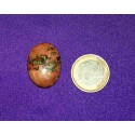 Leopard Skin Jasper Cabochons