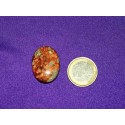 Leopard Skin Jasper Cabochons