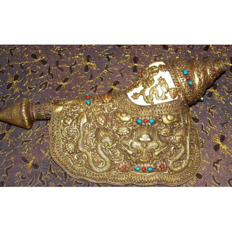 Ceremonial /decorativ Conch from Nepal