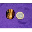 Tiger's Eye Cabochons