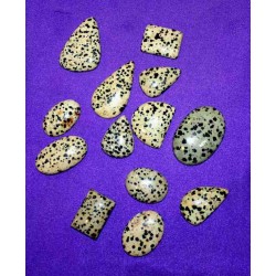 Dalmatian Jasper Cabochons