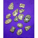 Dalmatian Jasper Cabochons