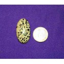 Dalmatian Jasper Cabochons