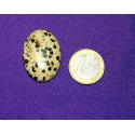 Dalmatian Jasper Cabochons