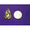 Dalmatian Jasper Cabochons