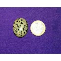 Dalmatian Jasper Cabochons