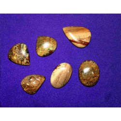 Picture Jasper Cabochons