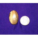 Picture Jasper Cabochons