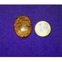 Picture Jasper Cabochons