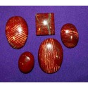 Red Jasper Cabochons