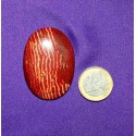 Red Jasper Cabochons