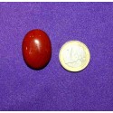 Red Jasper Cabochons