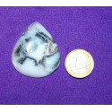 Dendritic Agate Cabochons