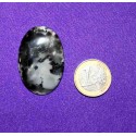 Dendritic Agate Cabochons