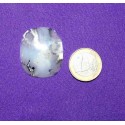 Dendritic Agate Cabochons