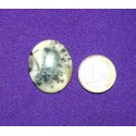 Dendritic Agate Cabochons