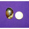 Dendritic Agate Cabochons